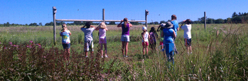 Birding in the Garden