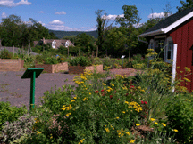 Herb garden