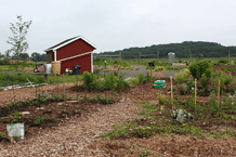 Storage shed