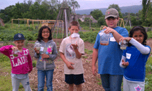 What is a community garden?