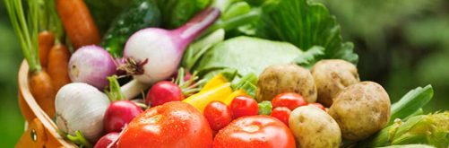 Vegetables in a basket