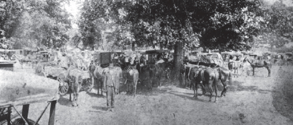 1892 Confederate Reunion at McGavock's Grove, courtesy of the Heritage Foundation of Franklin and Williamson County