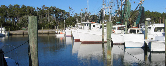Fishing vessels at Harkers Island’s harbor