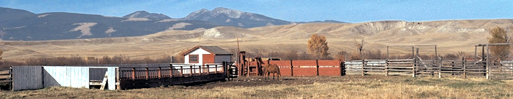 Grant-Kohrs Ranch National Historic Site